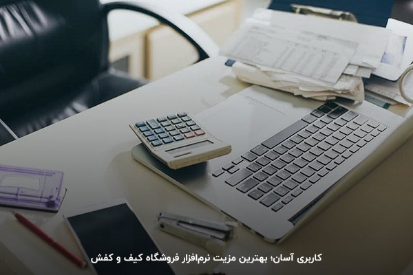 کار با نرم‌افزار دشت همکاران سیستم به دانش کامپیوتری یا حسابداری نیاز ندارد.