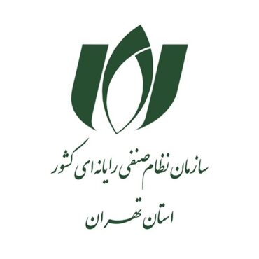 راهنمای جامع آشنایی و ورود به سازمان نظام صنفی رایانه‌ای کشور