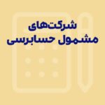شرکت های مشمول حسابرسی در سال 1405 + متن ماده 272